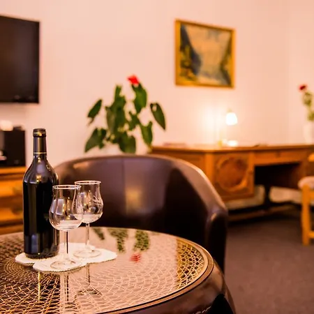 Διαμέρισμα Apartmenthaus Stadt Metz Δρέσδη